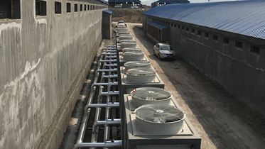 山东省泰安市新泰益客集团朱家沟养殖基地6000平超低温采暖