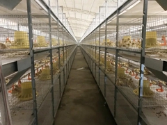 山东六千平养鸡场用空气能热泵采暖，无污染超节能